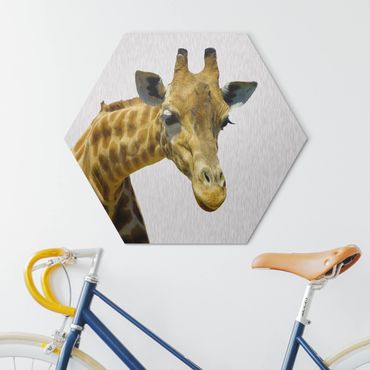 Hexagons Aluminium Dibond schilderijen No.21 Prying Giraffe