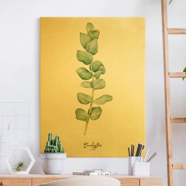 Canvas schilderijen - Goud Watercolour Botany Eucalyptus