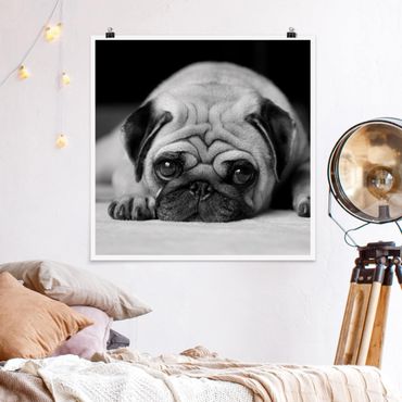 Posters Pug Loves You II