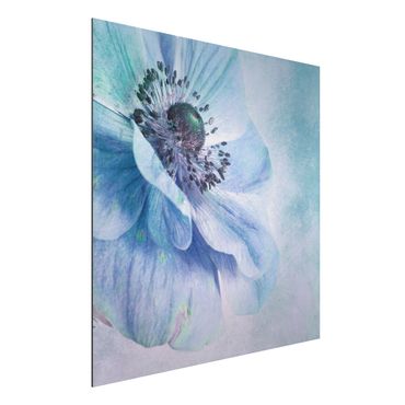 Aluminium Dibond schilderijen Flower In Turquoise