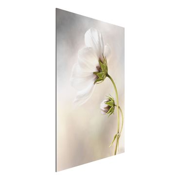 Aluminium Dibond schilderijen Heavenly Flower Dream