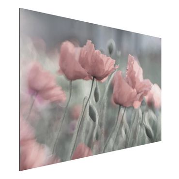 Aluminium Dibond schilderijen Picturesque Poppy