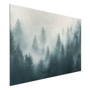 Aluminium Dibond schilderijen Coniferous Forest In Fog
