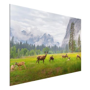 Aluminium Dibond schilderijen Deer In The Mountains