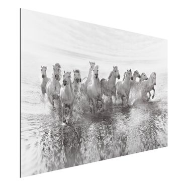 Aluminium Dibond schilderijen White Horses In The Ocean