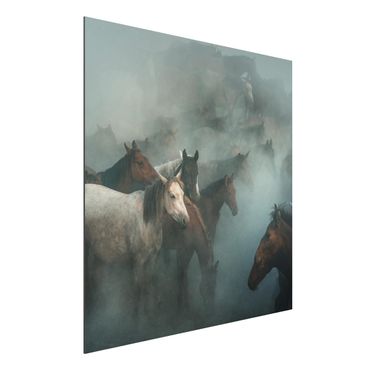 Aluminium Dibond schilderijen Wild Horses