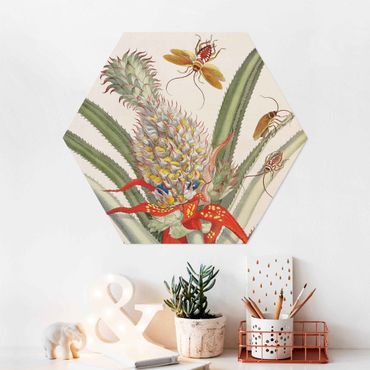 Hexagons Forex schilderijen - Anna Maria Sibylla Merian - Pineapple With Insects
