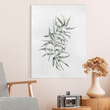 Canvas schilderijen Waterclolour Eucalyptus lV