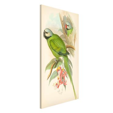Magneetborden Vintage Illustration Tropical Birds II