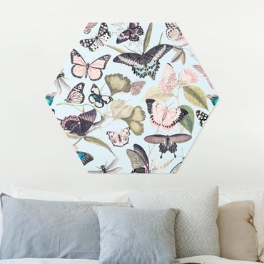 Hexagons Forex schilderijen Vintage Collage - Butterflies And Dragonflies