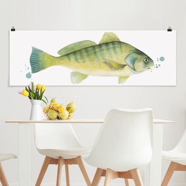Posters Color Catch - Perch