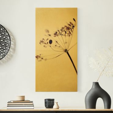 Canvas schilderijen - Goud Macro Image Dried Flowers In Shadow