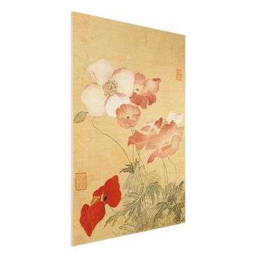 Forex schilderijen Yun Shouping - Poppy Flower