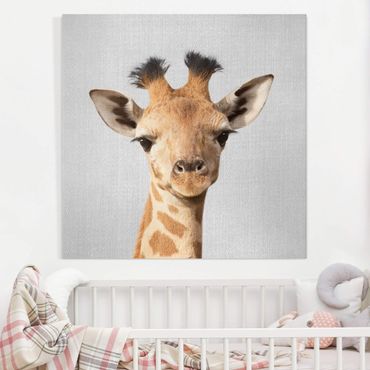 Leinwandbild - Baby Giraffe Gandalf - Quadrat 1:1
