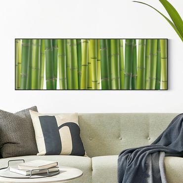 Verwisselbaar schilderij - Bamboo Plants
