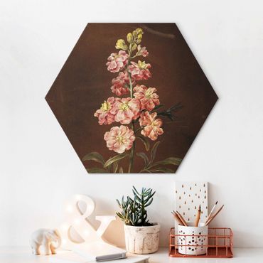 Hexagons Aluminium Dibond schilderijen - Barbara Regina Dietzsch - A Light Pink Gillyflower
