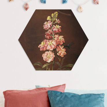 Hexagons Forex schilderijen - Barbara Regina Dietzsch - A Light Pink Gillyflower