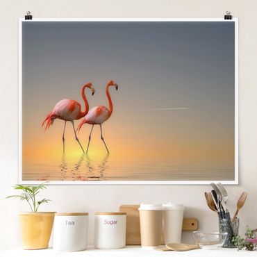 Posters Flamingo Love