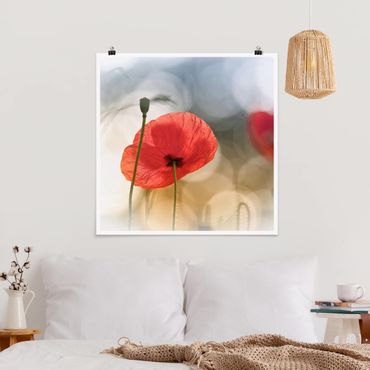 Posters Poppies In The Morning