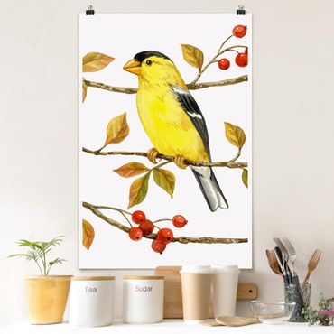 Posters Birds And Berries - American Goldfinch