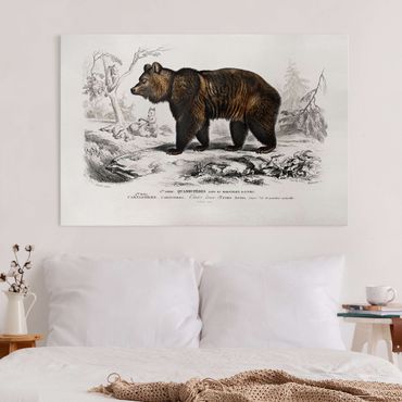 Canvas schilderijen Vintage Board Brown Bear