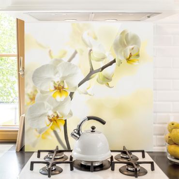 Spatscherm keuken orchid branch