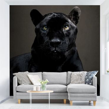 Fotobehang Black Puma