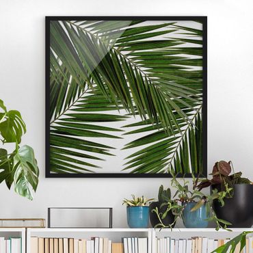 Ingelijste posters View Through Green Palm Leaves