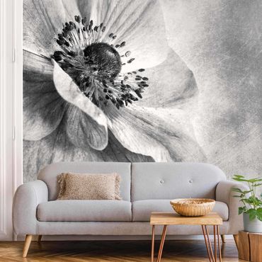 Fotobehang Flower In Turquoise Black And White