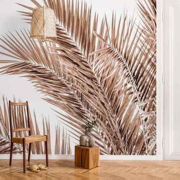 Fotobehang Bronze Coloured Palm Fronds