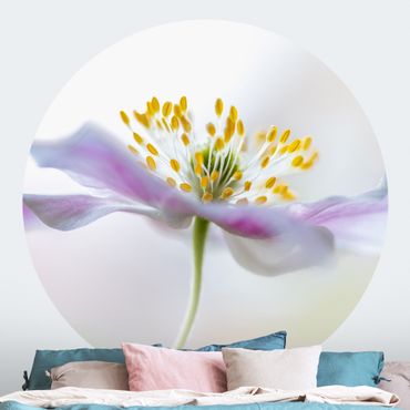 Behangcirkel Windflower In White