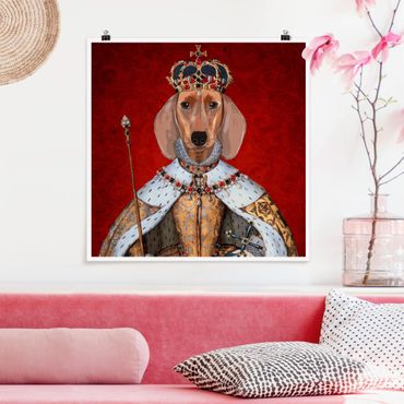 Posters Animal Portrait - Dachshund Queen