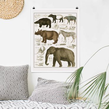 Posters Vintage Board Elephant, Zebra And Rhino