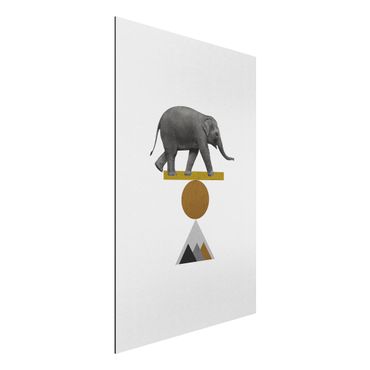 Aluminium Dibond schilderijen Art Of Balance Elephant