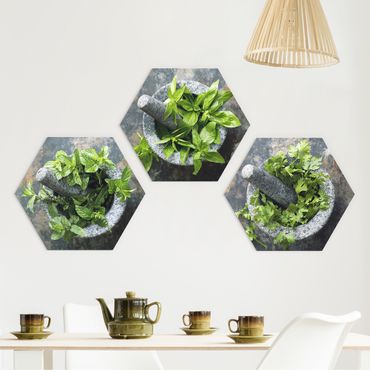 Hexagons Aluminium Dibond schilderijen - 3-delig Basil Mint Parsley In A Mortar