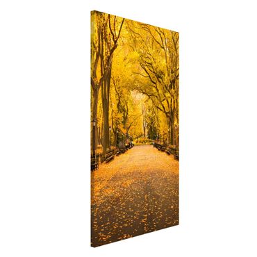 Magneetborden Autumn In Central Park