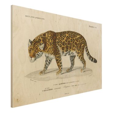 Houten schilderijen Vintage Board Jaguar