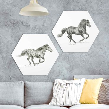 Hexagons Forex schilderijen - 2-delig Wild Horse Study Set I
