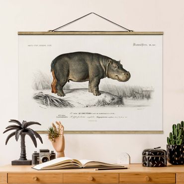 Stoffen schilderij met posterlijst Vintage Board Hippo