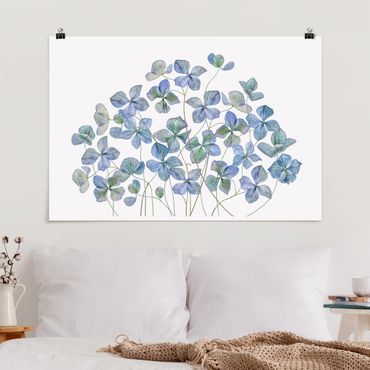 Posters Blue Hydrangea Flowers
