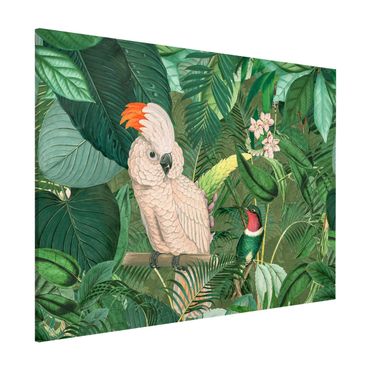 Magneetborden Vintage Collage - Kakadu And Hummingbird