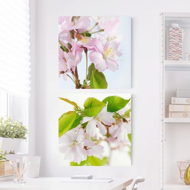 Canvas schilderijen - 2-delig  Ornamental cherry with flowers