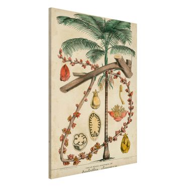 Magneetborden Vintage Board Exotic Palms II