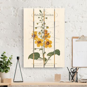 Houten schilderijen op plank Botanical Tableau - Mullein