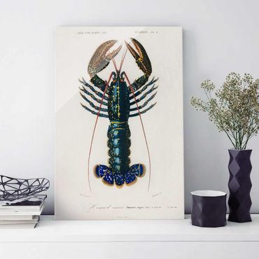 Glasschilderijen Vintage Board Blue Lobster