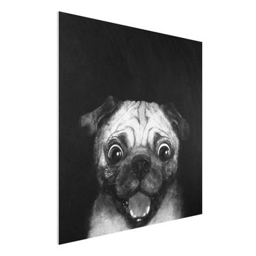 Forex schilderijen Illustration Dog Pug Painting On Black And White