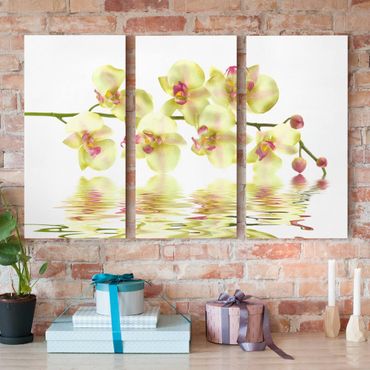 Canvas schilderijen - 3-delig Dreamy Orchid Waters