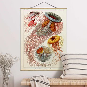 Stoffen schilderij met posterlijst Vintage Board Jellyfish