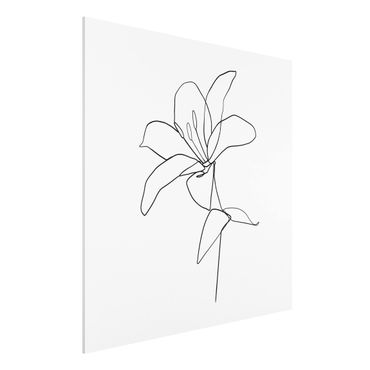 Forex schilderijen Line Art Flower Black White
