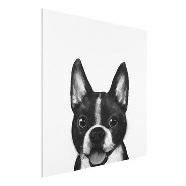 Forex schilderijen Illustration Dog Boston Black And White Painting